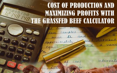 Cost of Production: Grassfed Beef Calculator Instructional