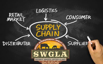 Supply Chain Primer